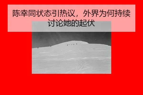 chen-xing-tong-zhuang-tai-yin-re-yi-wai-jie-wei-he-chi-xu-tao-lun-ta-de-qi-fu-2-826.jpg