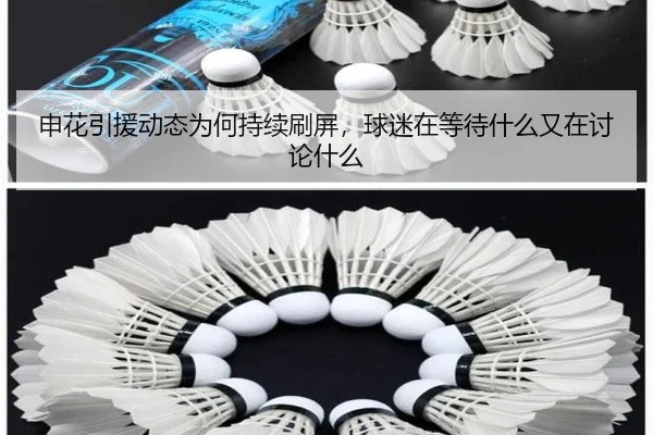 申花引援动态为何持续刷屏，球迷在等待什么又在讨论什么